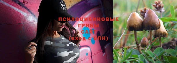 стафф Пестово