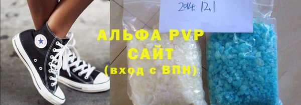 индика Алексин