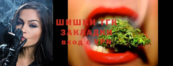 индика Алексин