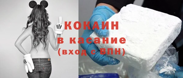 прущие крисы Пересвет