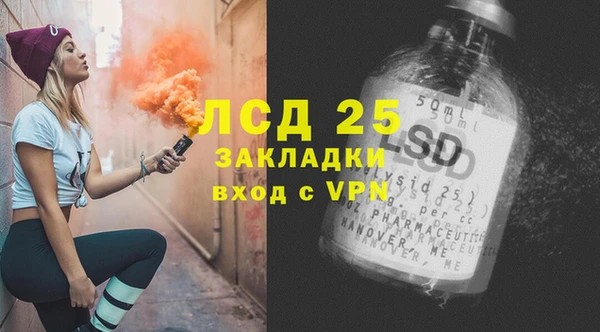 индика Алексин