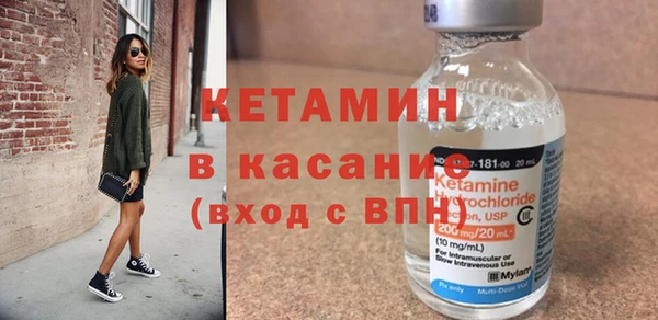 индика Алексин