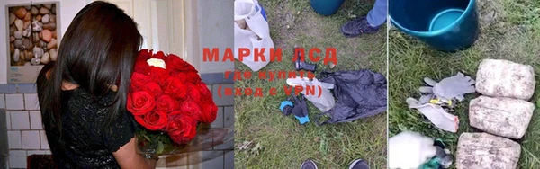 индика Алексин