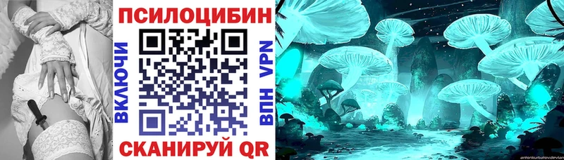 дарк нет клад  Североуральск  Псилоцибиновые грибы Cubensis 